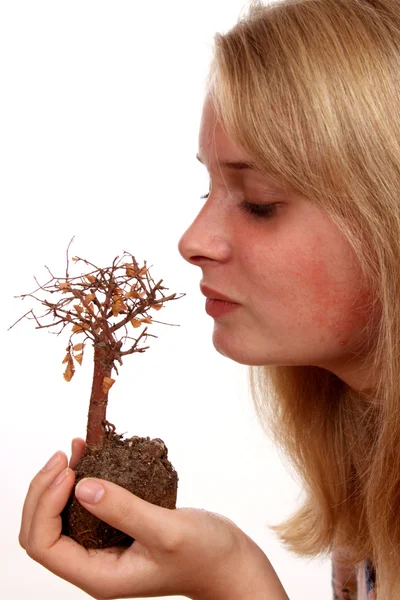 Молодая женщина смотрит на мертвое дерево бонсай — стоковое фото