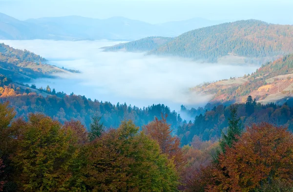 Autumn misty morning mountain valley — Stock Photo, Image