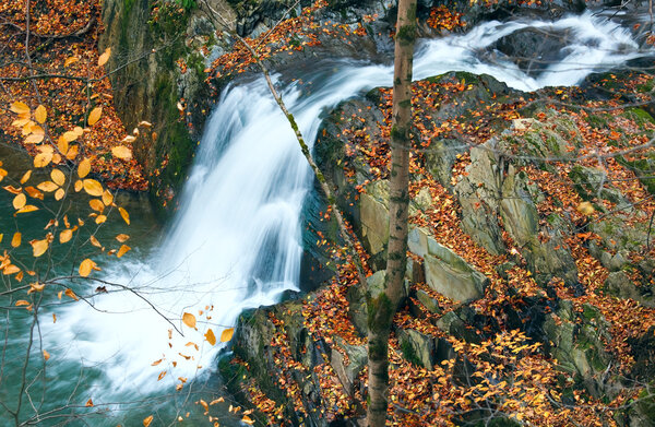 Waterfalls on Rocky Stream, Running Through Autumn Mountain Forest