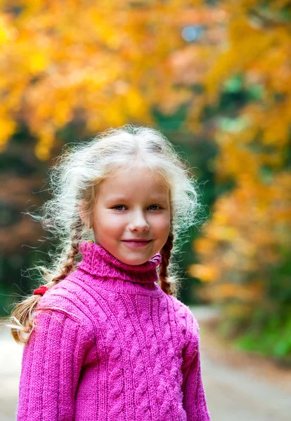 Schoolage meisje herfst buiten portret — Stockfoto