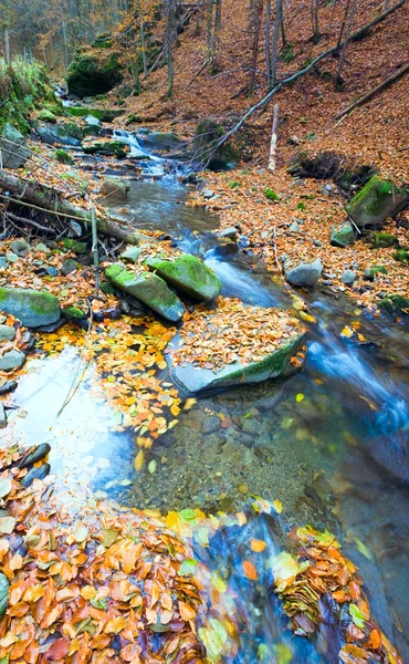 Rotsachtige herfst stream — Stockfoto