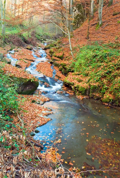 Skalista strumień jesień — Zdjęcie stockowe