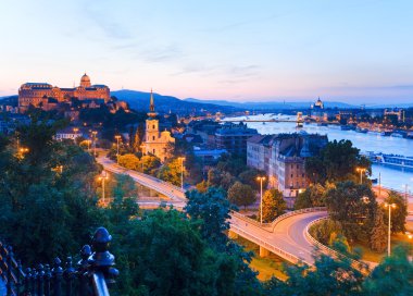 Budapest night view clipart