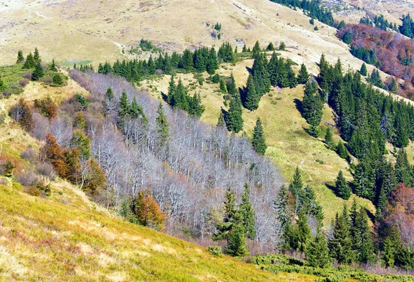 Φθινόπωρο βουνά και έντονη γυμνά δέντρα — Φωτογραφία Αρχείου