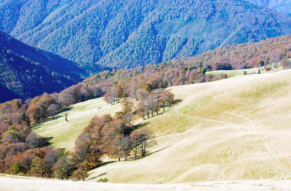 Montanhas de outono e árvores nuas — Fotografia de Stock