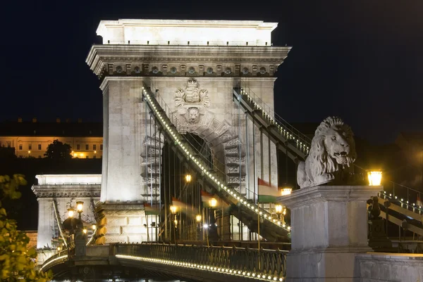 Budapest chain bridge nattvisning — Stockfoto