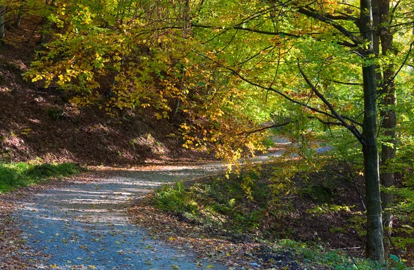 Outono montanha estrada suja — Fotografia de Stock