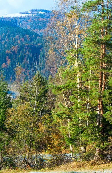 Autumn hoarfrost on mountain glade — Stock Photo, Image