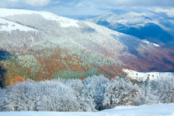 Première forêt hivernale de neige et de hêtres de montagne — Photo