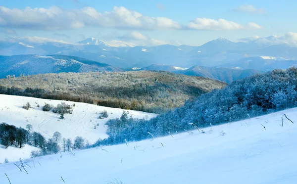 Erster Winterschnee und Bergbuchenwald — Stockfoto