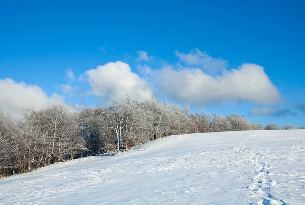 最初の冬の雪と山のブナ林 — ストック写真
