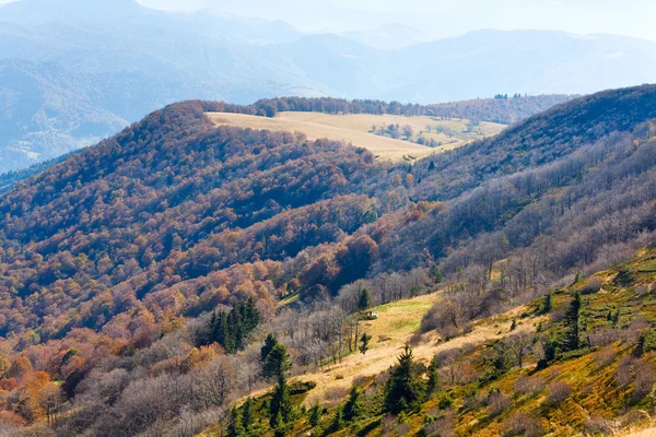 Herfst bergen en grimmige kale bomen — Stockfoto