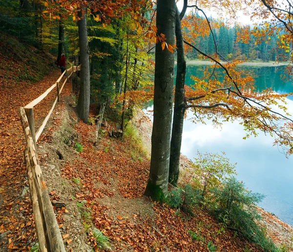 Árbol de otoño y lago Synevir — Foto de Stock