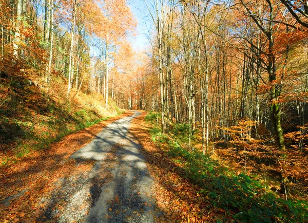 Sonbahar dağ köy yolunda — Stok fotoğraf