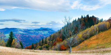 Autumn misty morning mountain panorama clipart