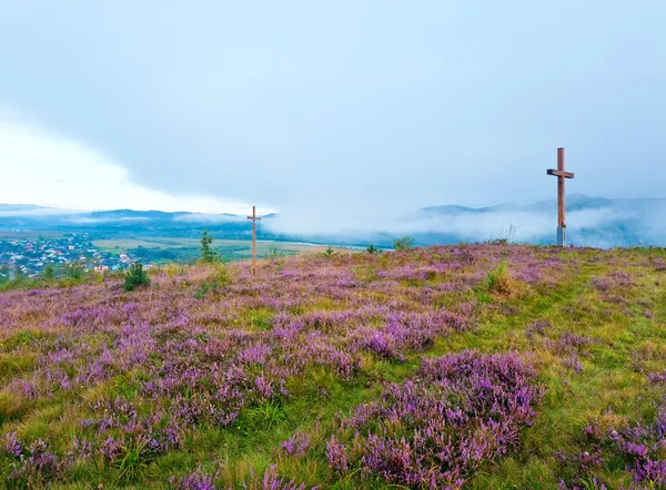 夏のヘザーの花の丘と霧のかかった朝の国の後ろに表示します。 — ストック写真
