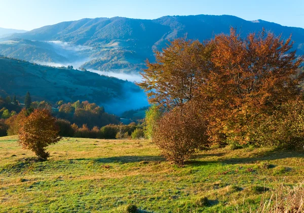 Sisli sonbahar sabahı dağ tepe — Stockfoto