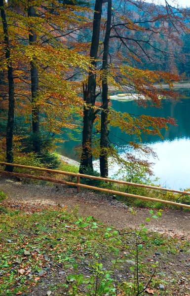 Árbol de otoño y lago Synevir — Foto de Stock