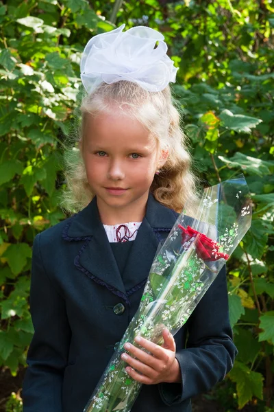 Portrait of nice little schoolgirl — Stock Photo, Image