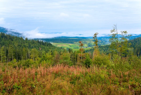 Widok na góry Karpackie września — Zdjęcie stockowe