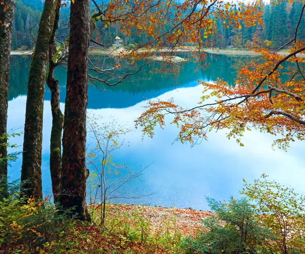 秋天一棵树和 synevir 湖 — 图库照片