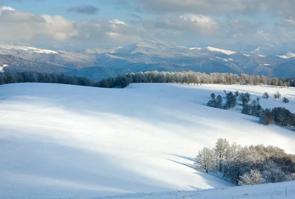 Eerste winter sneeuw en de berg beukenbos — Stockfoto
