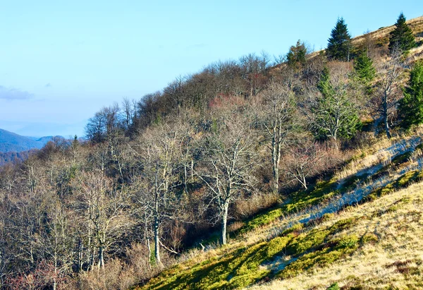 Sonbahar stark çıplak ağaçlar — Stok fotoğraf