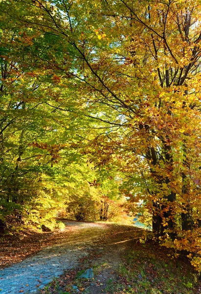 秋天的脏山路 — 图库照片