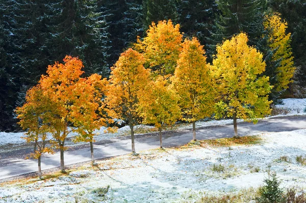 Första vintern snö och hösten färgglada bladverk nära mountain road — Stockfoto