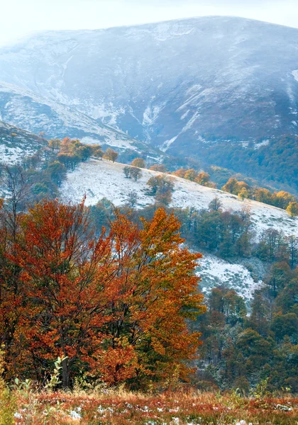 Erster Winterschnee und Herbst buntes Laub auf den Bergen — Stockfoto
