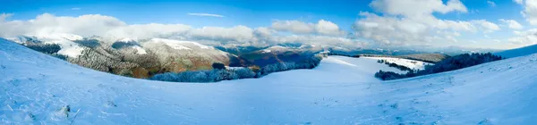 Primer invierno de nieve y bosque de hayas de montaña — Foto de Stock