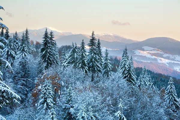 Kış günbatımı dağ manzarası — Stok fotoğraf