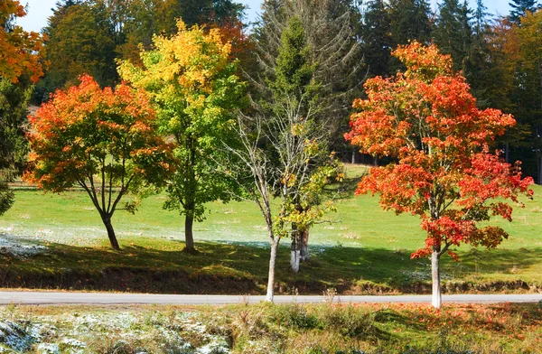 Primera nieve de invierno y árboles coloridos de otoño cerca del camino de montaña — Foto de Stock