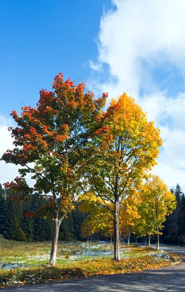 Prima neve invernale e alberi colorati autunno vicino strada di montagna — Foto Stock