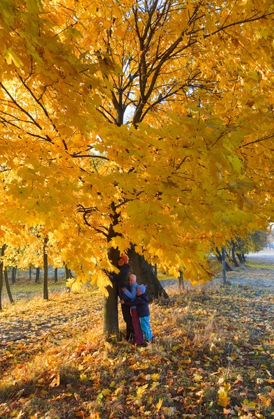 Familie in herfst maple park — Stockfoto