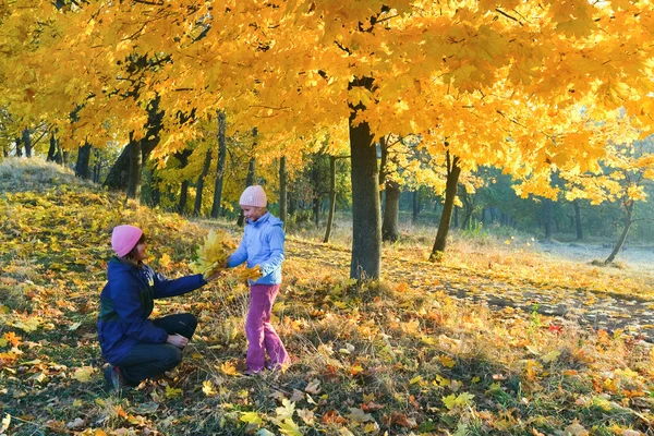 Rodziny w jesień klon parku — Zdjęcie stockowe