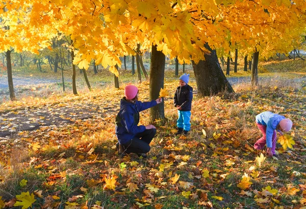 Family in autumn maple park — Stock Photo, Image