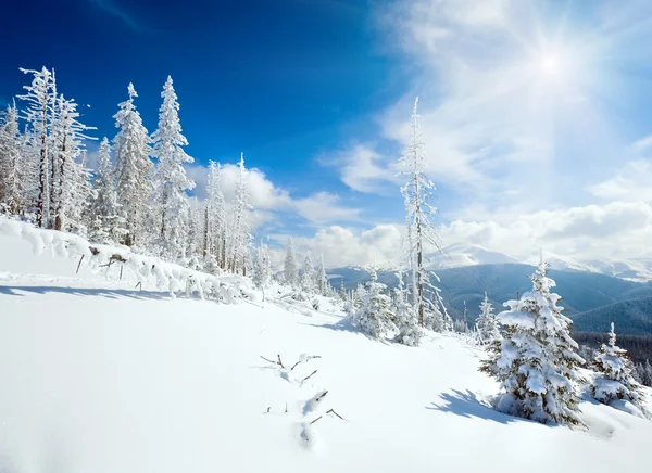 Sneeuwlandschap — Stockfoto