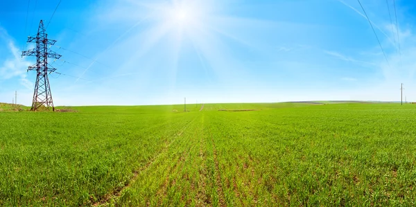 Spring field morning panorama with blue sky and sunshine — Stock Photo, Image