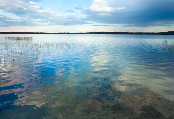 Влітку озеро rushy — стокове фото