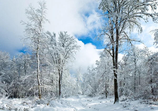 Insnöade vintern earthroad — Stockfoto