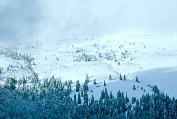 Winter bedeckte Berglandschaft — Stockfoto