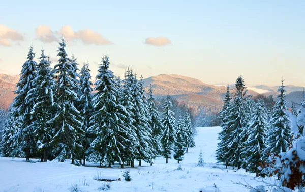 Solnedgång berg vinterlandskap — Stockfoto
