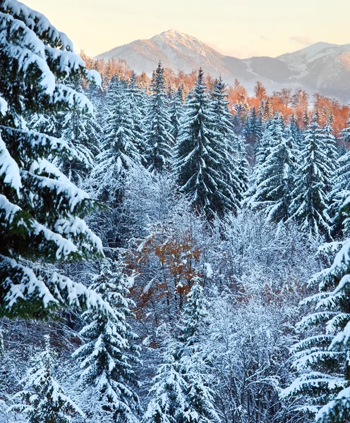 冬季日落山风景 — 图库照片