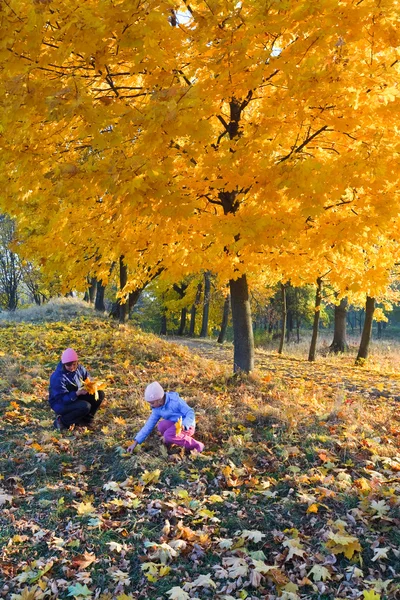 Familie in herfst maple park — Stockfoto