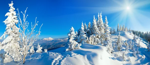 冬の山のパノラマ — ストック写真