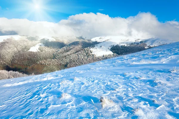 Första vintern snö och senaste höst färgglad lövverk i mount — Stockfoto