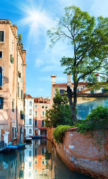 Venedig mit Baum und Sonnenschein — Stockfoto