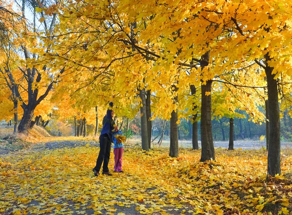 Familia en otoño parque de arce — Foto de Stock