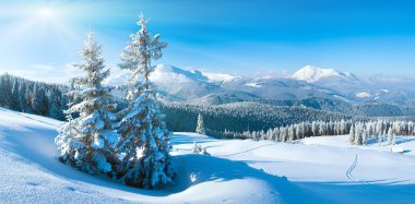 Winter mountain panorama clipart